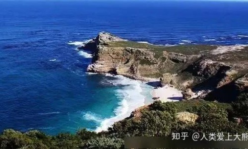 白酒泡洋葱有什么功效与作用专区_白酒泡洋葱有什么功效和作用专区_白酒泡洋葱有什么功效网